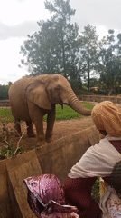Families visit zoo and parks in Jos, Nigeria