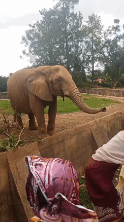 Families visit zoo and parks in Jos, Nigeria