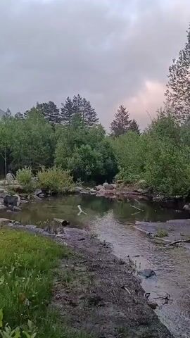 The video shows a natural landscape with a small body of water, possibly a stream or pond, in the foreground. Lush green vegetation, including trees and grass, surrounds the water. In the background, a misty mountain range is visible, with clouds partially obscuring its peaks. The overall atmosphere appears serene and tranquil, suggesting a rural or wilderness setting. The footage is static with no discernible movement of people or animals. The lighting indicates a cloudy or overcast day.