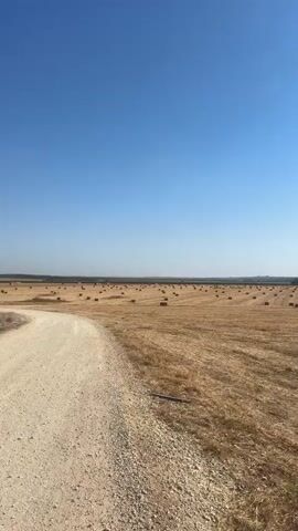 A dirt road curves into a vast, dry field under a clear blue sky. Numerous rectangular hay bales are scattered across the field, some appearing as small dark squares in the distance and others as larger, stacked piles closer to the foreground. The landscape is predominantly golden-brown, indicating a dry or harvested agricultural area. The scene is static, with no visible people or movement.