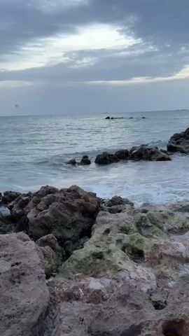 The video shows a rocky coastline with the ocean in the background. The water is a light blue-green, and there are waves crashing against the rocks. The sky is overcast with gray clouds. The rocks in the foreground are large and uneven, with some patches of green moss growing on them. There are no people or animals visible in the video. The overall mood of the video is calm and serene.