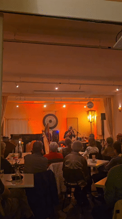 Violin performance captured at intimate Vienna music venue