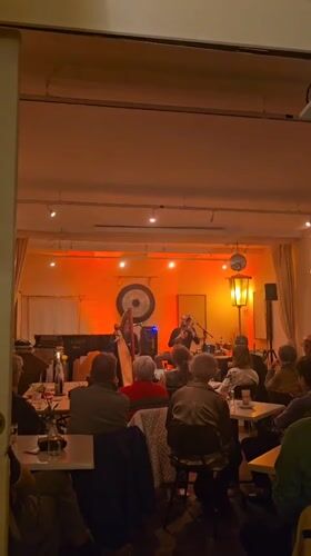Violin performance captured at intimate Vienna music venue