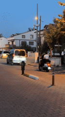 Dusk in Fethiye: street life and a calico cat.