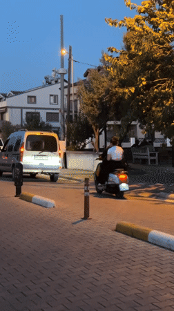 Dusk in Fethiye: street life and a calico cat.