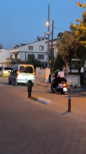 Dusk in Fethiye: street life and a calico cat.