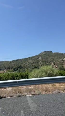 A video clip shows a landscape view from a vehicle. In the foreground, a metallic guardrail is visible, separating the roadway from a dry, grassy area. Beyond the guardrail, rows of green trees are planted, possibly an orchard or vineyard. In the background, a large, rocky hill covered in green vegetation rises under a clear blue sky. The sun appears to be shining brightly, casting shadows. The video is shot from a moving vehicle, as indicated by the slight motion blur and the perspective shifting as the scenery passes by. No people or animals are visible in the frame.