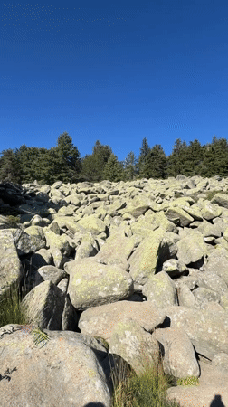 Rocky alpine terrain and evergreen forest near Bistritsa, Bulgaria