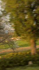 Traveler documents Bulgarian countryside and town views from moving vehicle