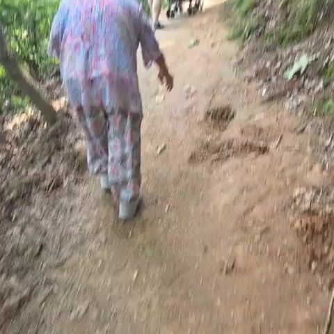 An elderly woman with short dark hair, wearing a light-colored patterned shirt and matching pants, walks on a dirt path in a wooded area. She is walking away from the camera, down a gentle incline. To her left is a wooded slope with trees and vegetation. To her right is a steeper, more densely wooded slope. Further up the path, another person is pushing a stroller. The path appears to be made of dirt and has some loose gravel. The environment is lush and green, suggesting it is summer or spring. The camera is positioned behind and to the right of the woman, following her movement.