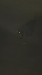 Witness documents ordinary life moments across Minsk during evening hours