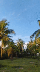 Rural Thailand scenes: boy cycling, tropical trees, sunset captured