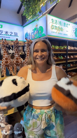 Plush toys and live quail at a Wuxing District shop