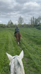 Horseback riding session documented in Estaimpuis, Belgium