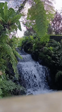 Wildlife park and gardens visit in North Sumatra, Indonesia