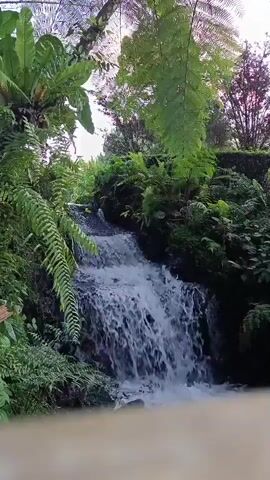 A waterfall cascades over rocks surrounded by lush green ferns and trees. The sun filters through the leaves, creating a dappled light effect. The sound of the waterfall is prominent throughout the short video clip.