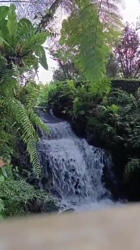 Wildlife park and gardens visit in North Sumatra, Indonesia