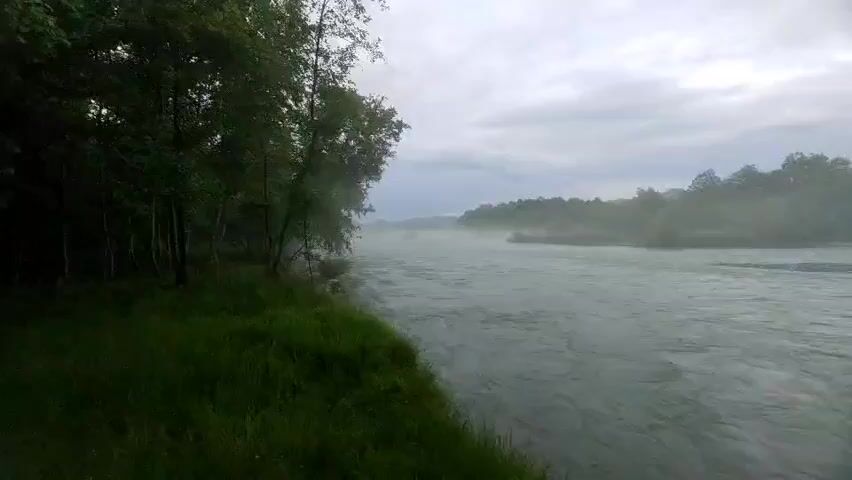 This media file depicts a serene natural scene by a river in Psebai, Russia. The subjects include lush green grass on the left bank, a dense forest of trees with dark bark, and the wide, flowing river itself. The river appears to be a turbulent waterway, indicated by the choppy surface and the presence of rapids or a strong current. In the distance, a thick, ethereal mist hangs low over the water, obscuring the far bank and creating a sense of depth and mystery. The far bank is lined with trees that are partially shrouded in the mist, adding to the atmospheric quality of the scene. The sky is overcast with heavy, gray clouds, suggesting a damp or foggy weather condition, likely early morning or late evening, or simply a cloudy day. There are no people or man-made objects immediately visible, emphasizing the untouched, wild nature of the location. The overall mood is peaceful and tranquil, yet with a touch of dramatic beauty due to the mist and the powerful flow of the river. The lighting is diffused, consistent with the overcast sky and mist. There is no visible text in the media file.