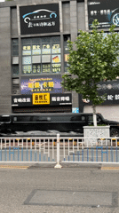 Black limousine spotted on Yuzhong District street