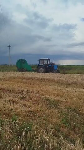 A blue tractor is pulling a green baler through a field of dry, harvested wheat under a cloudy sky. The tractor is moving from left to right. The baler is a large, cylindrical machine. The field is covered in straw and stubble. There is a power line pole in the background on the left.