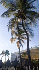 Tourist captures mixed scenes of Porlamar resort life and urban decay