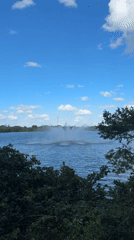 Evening park observations capture fountain, wildlife in Hollywood Florida