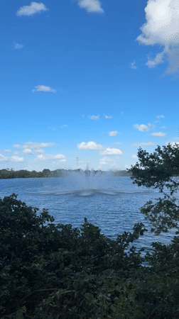 Evening park observations capture fountain, wildlife in Hollywood Florida
