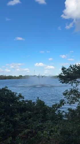 Evening park observations capture fountain, wildlife in Hollywood Florida