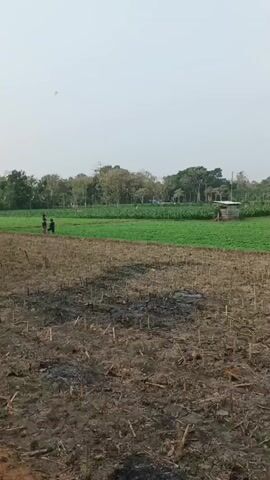 Two people are walking across a field with dry, stubbly ground, and a patch of burnt earth in the foreground. In the background, there is a lush green field of crops, a small wooden structure, and a line of trees under a hazy sky.