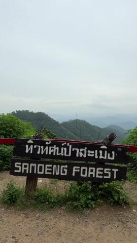 The video shows a signpost with Thai writing and the words SAMOENG FOREST in English. The sign is placed in front of a lush, green mountain landscape under a cloudy sky. The camera pans slowly upwards, revealing layers of rolling hills stretching into the distance. Green trees and foliage surround the signpost, and a red railing is visible in front of the sign. The overall impression is of a scenic overlook in a natural, mountainous area.