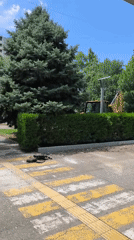 Almaty street corner mid-maintenance, trees and tactile crossings