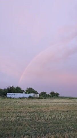 The video pans across a field with harvested crops under a sky with pink and purple hues. A faint rainbow is visible in the sky. In the distance, there are trees and a white fence. The landscape appears rural.
