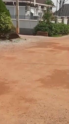Daily life documented in Narayi residential area, Nigeria