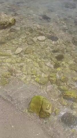 This video captures a scenic beach scene, likely during daylight hours with clear, bright conditions and a visible blue sky with scattered clouds. The primary subjects are the beach and the shallow, clear turquoise water. The seabed is visible, composed of sand and numerous rocks of varying sizes, some covered in green algae. A few larger boulders are present near the shore. In the distance, along the waterline, are a few indistinct figures of people, suggesting a relaxed, leisurely atmosphere. The gentle waves lapping at the shore and the overall clarity of the water indicate calm weather. The location appears to be a natural, undeveloped coastline, consistent with the Osenovo, Bulgaria context. There is no visible text in the video. The overall mood conveyed is one of peace and natural beauty.