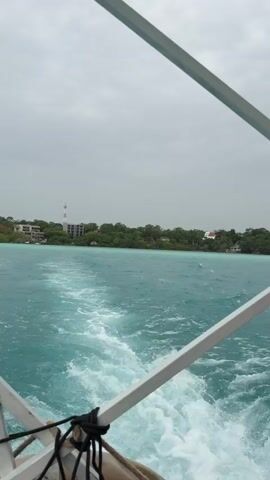 This video shows a view from the back of a boat moving through the turquoise waters of Bacalar, Mexico. The camera is angled down towards the churning wake of the boat, with white spray and bubbles trailing behind. In the distance, a lush green shoreline is visible, dotted with various buildings, including a tall white tower that appears to be a communication or observation tower. Some of the buildings are residential, with visible rooftops and structures nestled among the trees. The water is a vibrant shade of blue-green, indicating shallow, clear conditions. The sky is overcast with soft gray clouds, suggesting a mild or potentially cloudy day. The overall mood is peaceful and evokes a sense of travel and exploration. There is no visible text in the media.