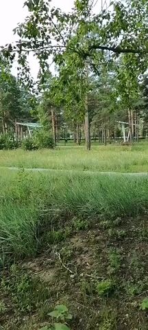 A grassy park area with trees visible in the background. Several white, modern structures with circular, slanted roofs are scattered throughout the park. There are also some smaller buildings and a dirt path. The grass is tall and appears somewhat unkempt in some areas.