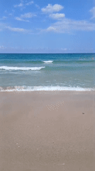 Sunny beach afternoon in Primorsko turns rainy within the hour
