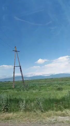 The video shows a green field under a blue sky with white clouds. A tall wooden pole with wires is visible on the right side of the frame. The camera appears to be moving, suggesting a view from a vehicle. In the distance, there are mountains. The grass in the foreground is tall and somewhat blurred due to the movement. There is a small sign or marker in the field, partially obscured by grass.