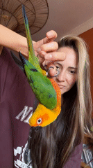 Woman handles colorful parrot in Khimki during afternoon encounter