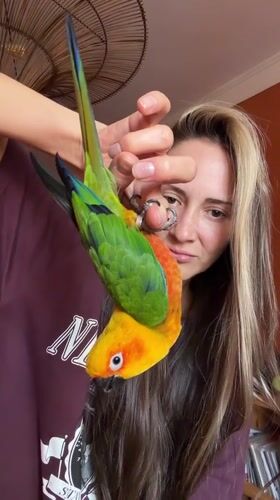 Woman handles colorful parrot in Khimki during afternoon encounter