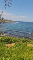 Coastal scenery documented from grassy viewpoint in Tsarevo, Bulgaria