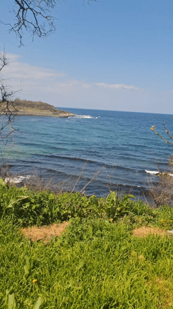 Coastal scenery documented from grassy viewpoint in Tsarevo, Bulgaria