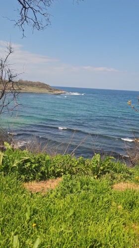 Coastal scenery documented from grassy viewpoint in Tsarevo, Bulgaria