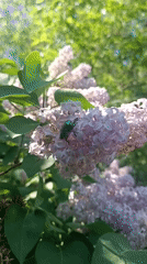 Daily life moments captured across Chaikovsky, Russia morning