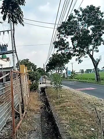 The video provides a drive-by view from a vehicle in Sidoharjo, Indonesia, moving from a rural road scene to focus on a unique architectural structure.

Initially, the camera captures a roadside with overhead power lines, trees, and a ditch running parallel to the asphalt road. A simple fence and a glimpse of a building with a green dome (likely a mosque) are visible on the left.

As the camera pans to the left, more of the mosque-like building, partially framed by a palm tree, comes into view. The pan continues further left, revealing a large, multi-story building designed to resemble a fantasy castle. This distinctive structure is predominantly white with pink and blue elements, featuring multiple turrets topped with conical roofs. A well-kept green lawn extends in front of the castle-like building.

The sky is partly cloudy, indicating a daytime recording. No individuals or discernible text are visible in the video.