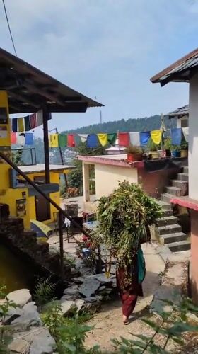 Morning village life documented across Bhagsu and Haini, India