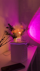 Moscow residents document atmospheric indoor scene with roses, lighting
