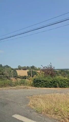 The video shows a landscape with trees, fields, and a clear blue sky. Overhead power lines are visible. A metal guardrail runs along the bottom of the frame, suggesting the video is taken from a vehicle. The vegetation appears dry in some areas, indicating a warm climate or season. In the distance, there are buildings nestled among the trees. The camera pans slightly, offering a shifting perspective of the rural environment.