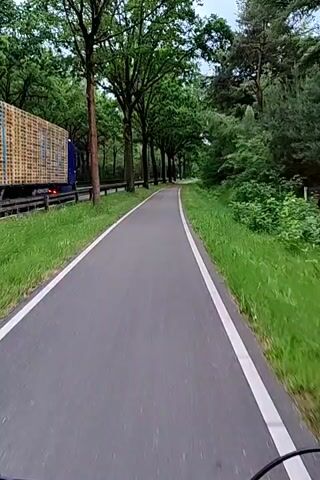 The video presents a first-person perspective of a journey along a paved bicycle path in Oosterhout, Netherlands. The path is gray asphalt, clearly defined by white lines along its edges.

On the left side of the bike path, a row of tall, leafy green trees acts as a natural barrier to an adjacent road or highway. A large semi-truck with a flatbed trailer, laden with numerous wooden pallets, is visible moving away on this road. On the right side of the bike path, a strip of vibrant green grass separates it from a dense wooded area or forest, also filled with tall green trees and undergrowth. A light-colored fence can be seen within the wooded area.

The activity taking place is travel along the bike path, strongly implying cycling, given the camera's stable, forward-moving perspective and the partial view of what appears to be a bicycle handlebar at the very bottom of the frame.

The time of day appears to be daytime, with soft, diffused lighting suggesting an overcast sky or possibly early morning/late afternoon. The weather seems mild, with no apparent precipitation. The scene conveys a sense of tranquility, despite the proximity to a busy road. There is no visible text in the video.