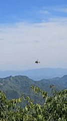 Summer morning on the Great Wall, Huairou District